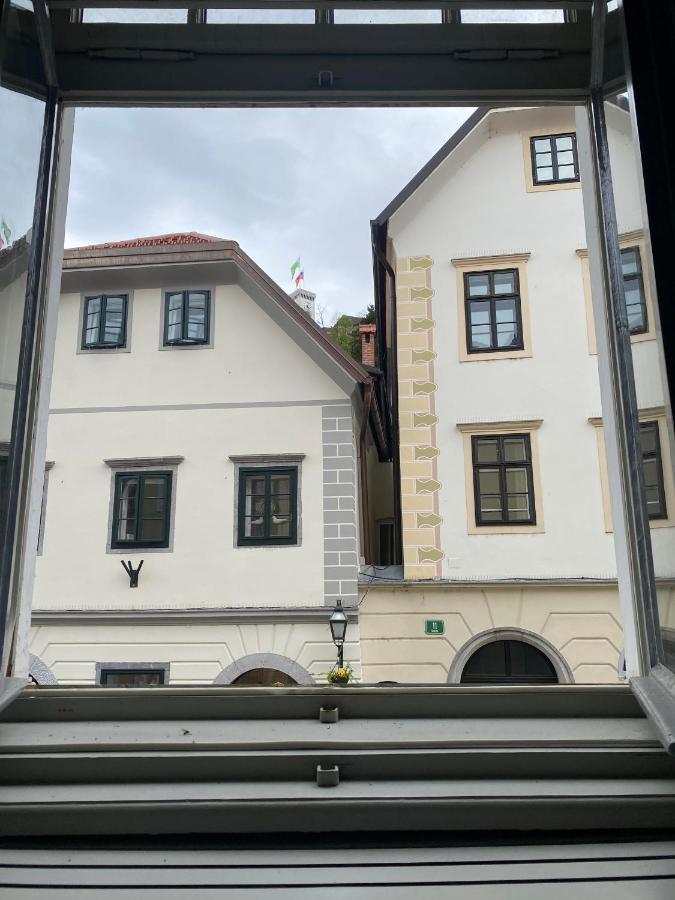 Vintage Charm Apartment Liubliana Exterior foto